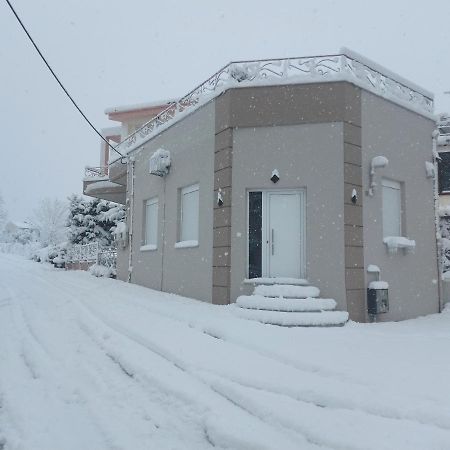 Lefis House Apartment Volos Bagian luar foto