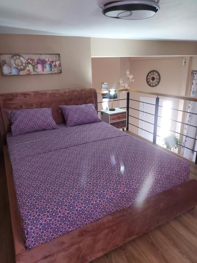 Lefis House Apartment Volos Bagian luar foto